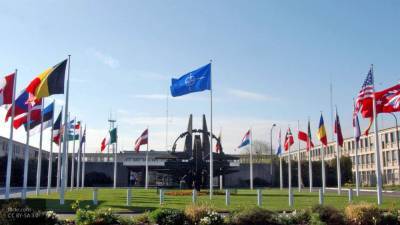 Бельгийские журналисты признали бесполезность НАТО