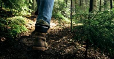 Телеработа и прогулка по лесу: счастлив как финн во времена Covid