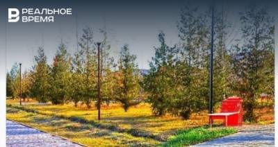 Осенние пейзажи республики: новые посты глав районов Татарстана в «Инстаграме» 8 ноября