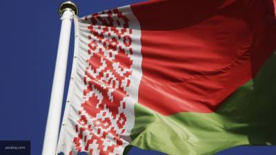 Белорусские силовики задержали более 560 человек во время протестов