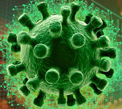 Ученые обнаружили в яичках пациентов коронавирус