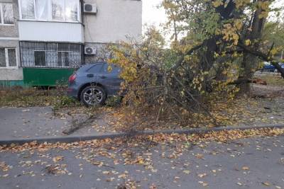 Автомобилист на иномарке врезался в дерево в Ростове