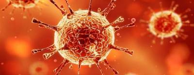 В мире коронавирусом заразилось уже более 50 миллионов человек