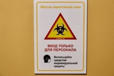 Хроники коронавируса в Тверской области: данные к 9 ноября