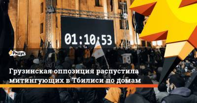 Грузинская оппозиция распустила митингующих в Тбилиси по домам