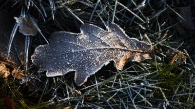 Синоптики спрогнозировали затяжное похолодание в европейской части России