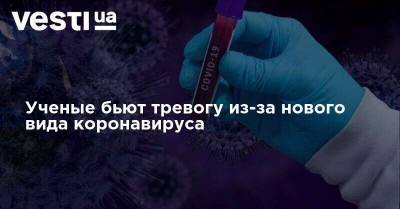 Ученые бьют тревогу из-за нового вида коронавируса - vesti.ua - Китай - Украина