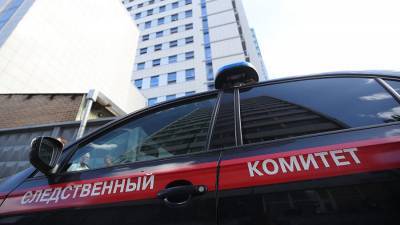 Возбуждено дело по факту убийства двух женщин и ранении ребенка в Подмосковье
