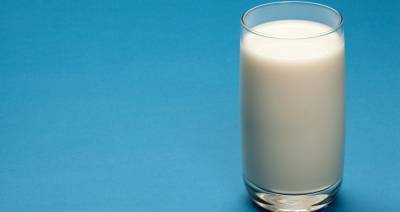 Около 80 % экспорта молочной продукции через БУТБ приходится на Россию