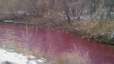 Власти Кемерово сообщили, почему река Искитимка приобрела красный цвет воды