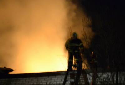 Спасатели обнаружили обгоревшие останки после тушения пожара в Тосненском районе