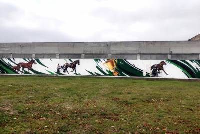 Тульский художник-граффитист разрисовал брянский конный завод