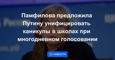 Памфилова предложила Путину унифицировать каникулы в школах при многодневном голосовании