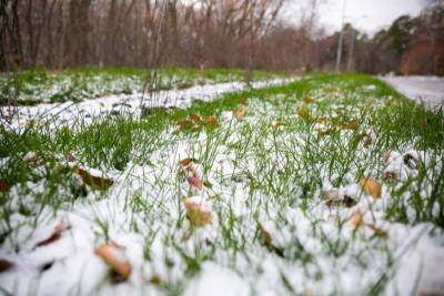 С 10 ноября на Урале начнутся сильные снегопады