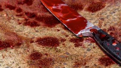 В Подмосковье зверски убили 2 женщин и тяжело ранили 6-летнюю девочку
