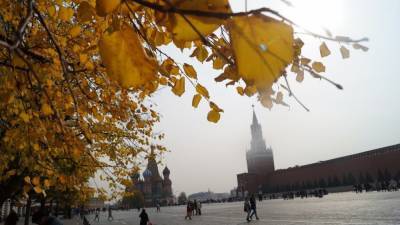 Московские синоптики зафиксировали самую холодную ночь за осень