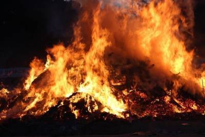 В Скопине пожарные почти два часа тушили загоревшийся мусор