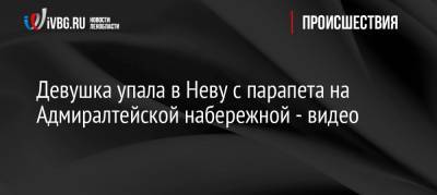 Девушка упала в Неву с парапета на Адмиралтейской набережной — видео - ivbg.ru - Санкт-Петербург - Петербург