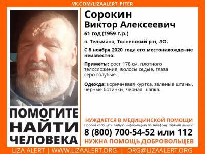 В Тосненском районе без вести пропал 61-летний мужчина