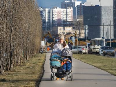 В 78 регионах РФ снизилась рождаемость, а в 62 субъектах увеличилась смертность