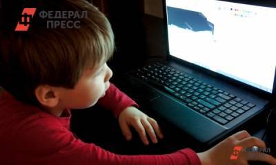 Нижегородские родители выступили против цифрового образования
