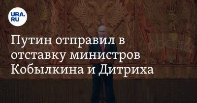 Путин отправил в отставку министров Кобылкина и Дитриха