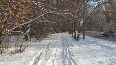 Похолодание и снег: прогноз погоды на неделю в Пермском крае