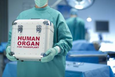 Минздрав выделил почте 25 млн гривен на разработку проекта трансплантации