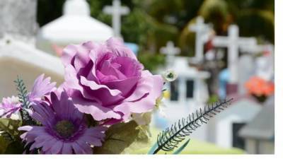 Конкурс на проведение захоронений на 43 кладбищах проведут власти Петербурга