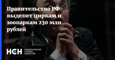 Правительство РФ выделит циркам и зоопаркам 230 млн рублей