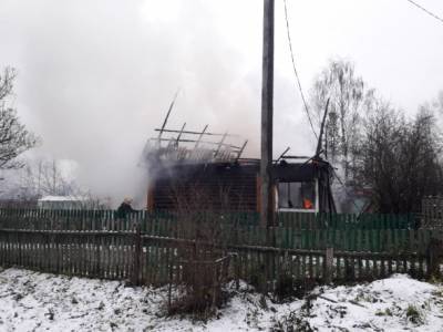 В МЧС назвали причину пожара в дачном доме под Сыктывкаром
