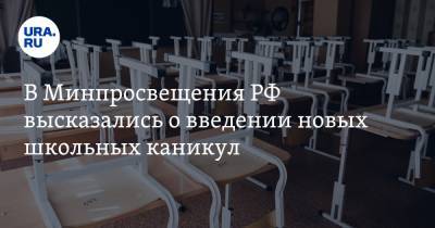 В Минпросвещения РФ высказались о введении новых школьных каникул