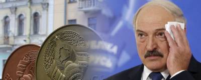 «Лукашенко потерял нюх» – Гостюхин