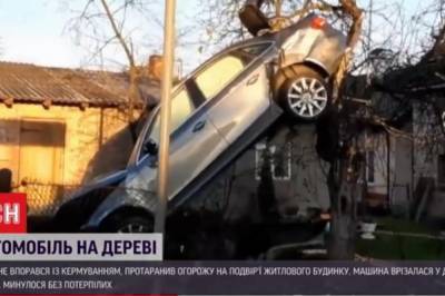 Припарковался на дереве: Во Львовской области произошло необычное ДТП