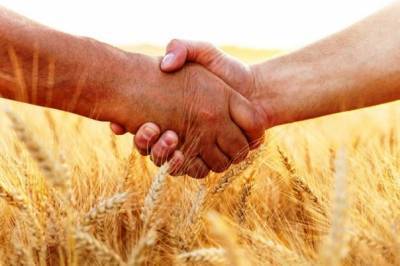 В сельскохозяйственных кооперативах обеспечили занятость 11 тысячам ульяновцев