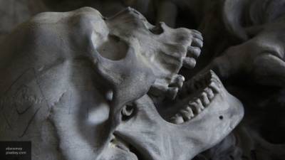 Завернутые в полиэтилен череп и кости руки нашли в московском дендропарке