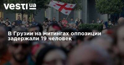 В Грузии на митингах оппозиции задержали 19 человек