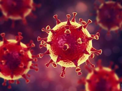 В Китае обнаружили новый тип коронавируса