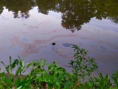 Предприятию «ЛУКОЙЛа» в Коми грозит штраф за загрязнение реки