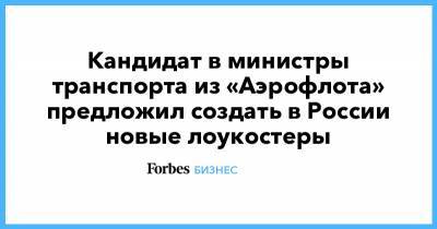 Кандидат в министры транспорта из «Аэрофлота» предложил создать в России новые лоукостеры