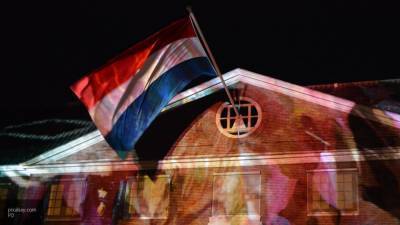 Генконсульство Нидерландов выделило 13 млн рублей антироссийской НКО