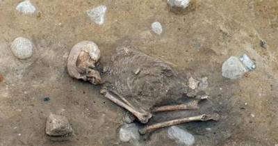 5000-летние останки указали на смертельную диету древних людей
