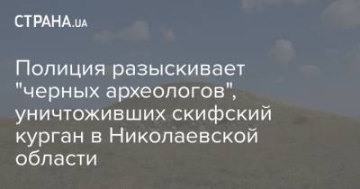 Полиция разыскивает "черных археологов", уничтоживших скифский курган в Николаевской области