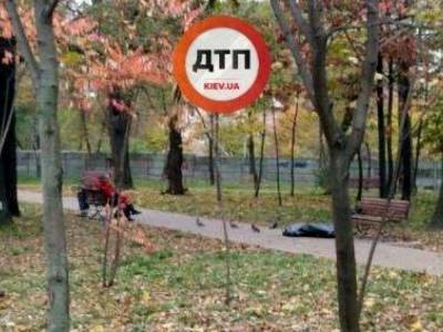 У столичной станции метро «Житомирская» в парковой зоне обнаружили труп