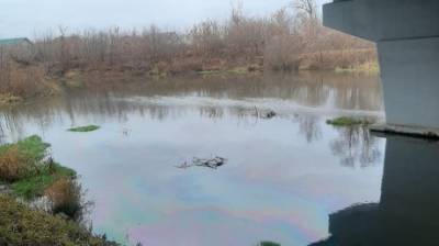 Специалисты не смогли установить причину загрязнения реки Пензы