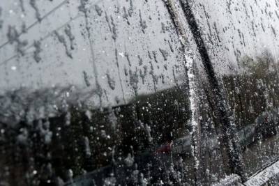 МЧС в Ярославской области предсказывает мокрый снег и ветер