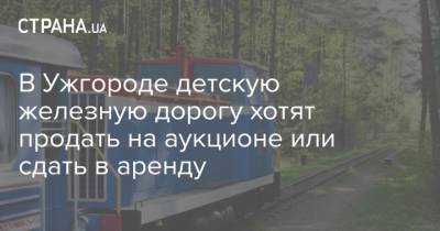 В Ужгороде детскую железную дорогу хотят продать на аукционе или сдать в аренду
