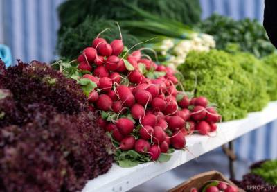 Под Минском открылся первый в стране продовольственный экорынок