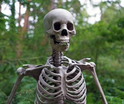 В Германии обнаружили скелет сидевшей на смертельной диете древней женщины