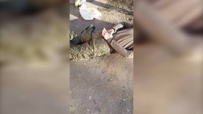 Задержан устроивший стрельбу солдат-срочник в Воронежской области.